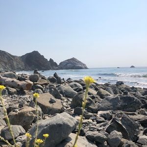 Meet your Posher, Britt